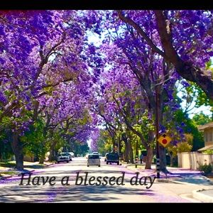 Meet your Posher, Norma